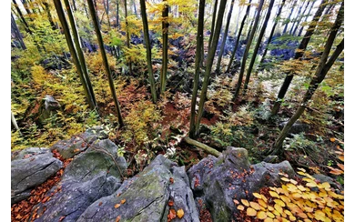 Felsenmeer Herbst Foto Pressestelle MK.jpg