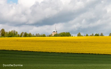 Turm hinter einem Rapsfeld