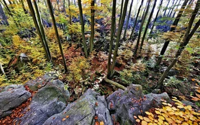 Felsenmeer Herbst Foto Pressestelle MK.jpg