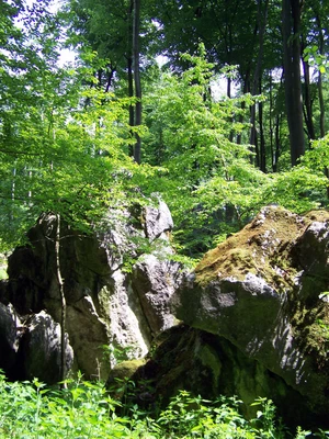 Felsenmeer Felsen Foto Pressestelle MK.jpg